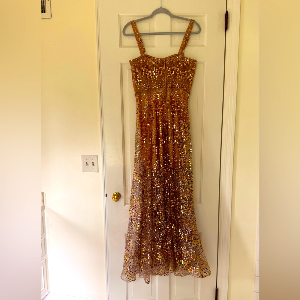 Bronx and Banco Sequin Maxi Dress in Gold and Pink - Picture 5 of 11